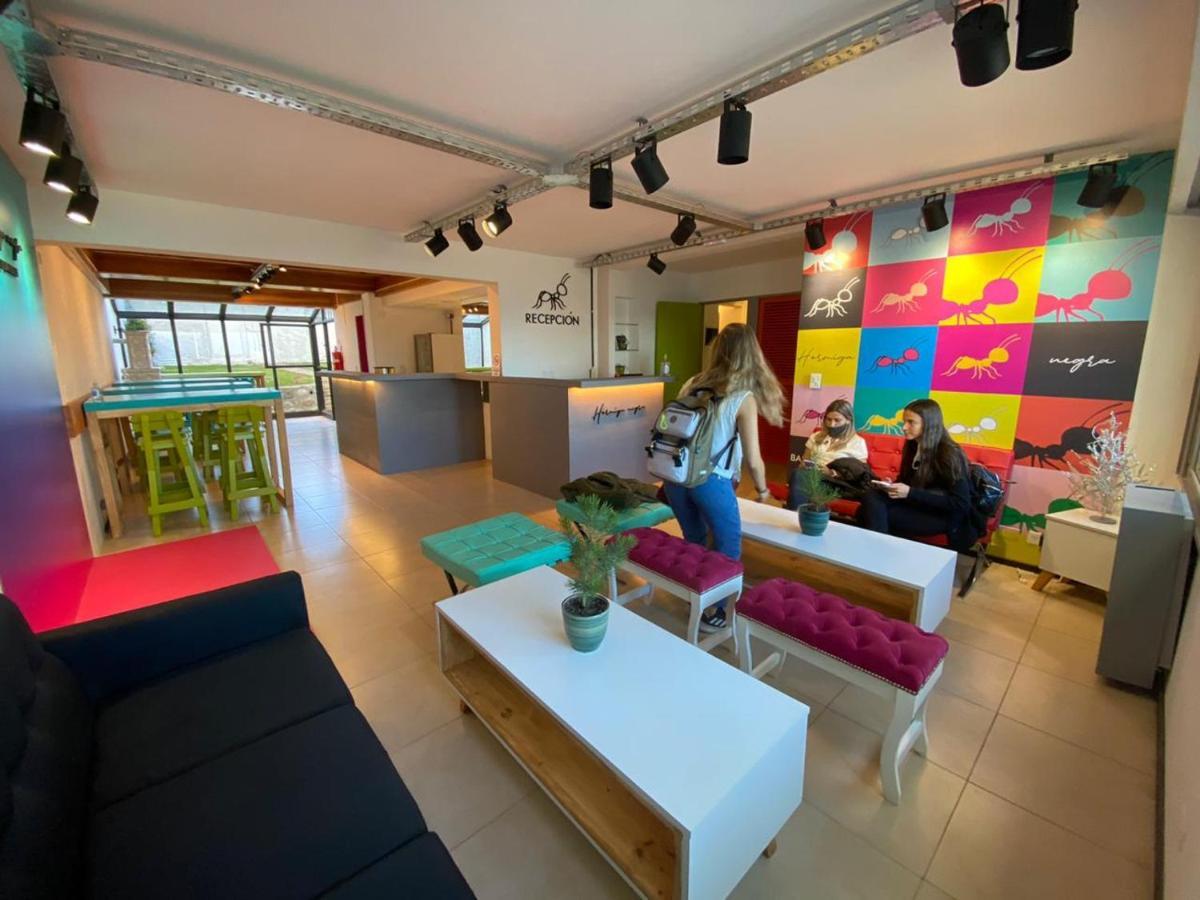 Hostel Hormiga Negra San Carlos de Bariloche Eksteriør billede